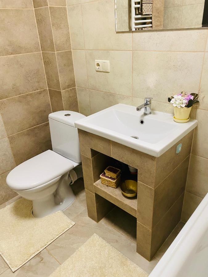 Центр. Поруч Парк Та Став Daire Ternopil Dış mekan fotoğraf