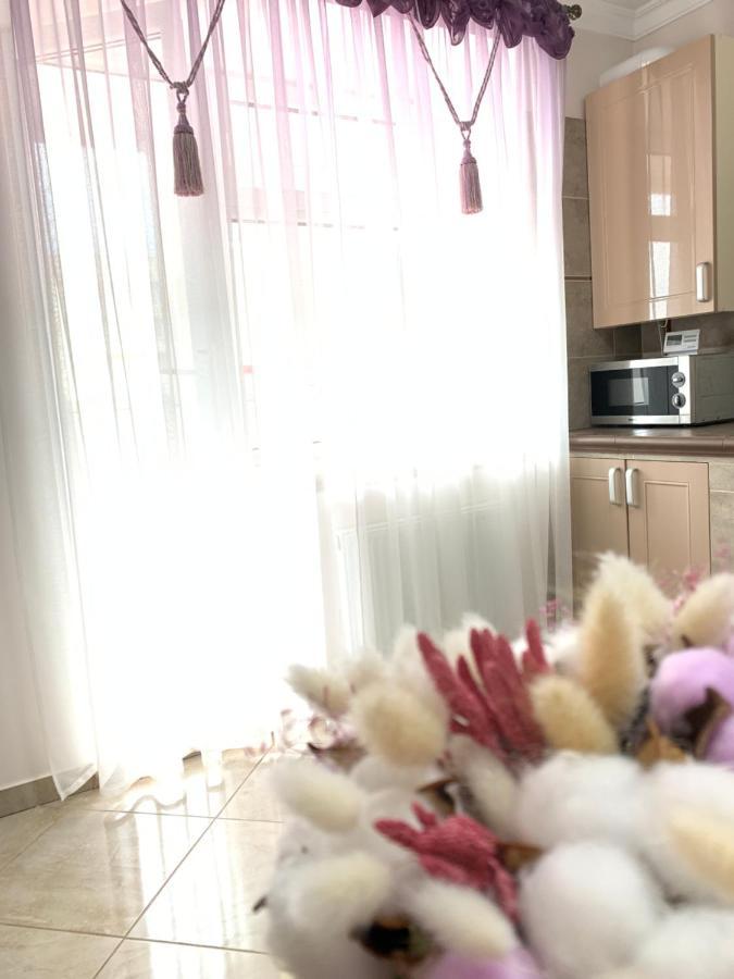 Центр. Поруч Парк Та Став Daire Ternopil Dış mekan fotoğraf