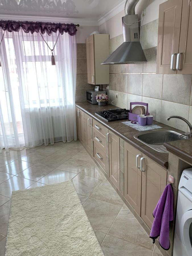 Центр. Поруч Парк Та Став Daire Ternopil Dış mekan fotoğraf